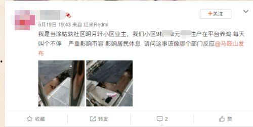 爆料养鸡套路视频大全,养鸡套路视频大全深度解析